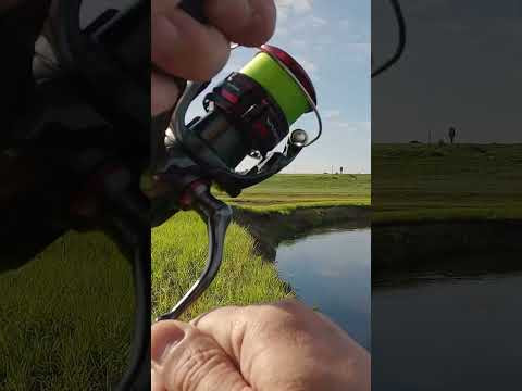 Рыба монстр порвала шнур #рыбалка #fishing Рыба монстр порвала шнур #рыбалка #fishing