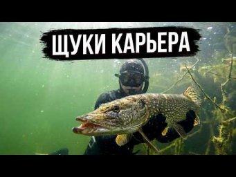 Щуки карьера