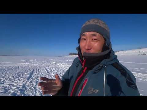 Окунь которого делим топором. Сиги, плотва, окуни отрываются под весом. Нашли яму Окунь которого делим топором. Сиги, плотва, окуни отрываются под весом. Нашли яму