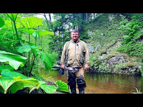 Сахалин! За этой рыбой прошли через джунгли. Сахалин! За этой рыбой прошли через джунгли.