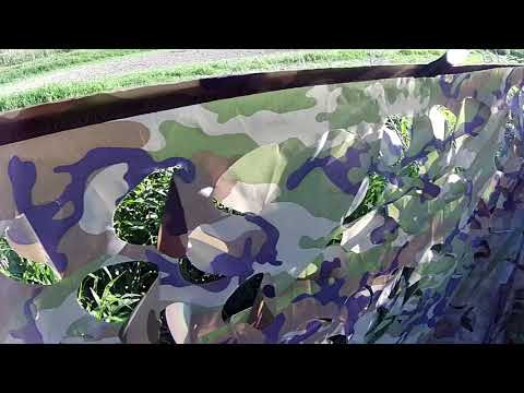 Охота с чучелами на водопое (вяхирь-горлица)