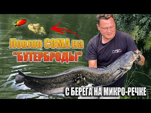Ловлю СОМА на "БУТЕРБРОД" на донку с берега. Нестандартные насадки!