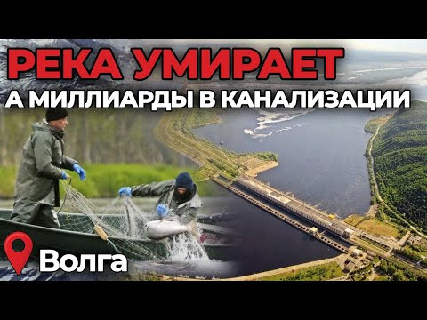 РыбийГлас#2 САМОСУД НАД БРАКОНЬЕРАМИ, ШТРАФЫ ЗА ЩУКУ, ВОЛГУ НЕ СПАСТИ?