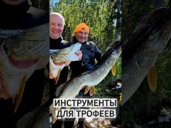 Метровые БЛАСТЕРЫ 