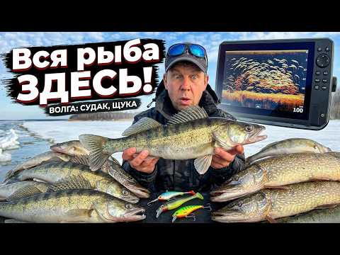 ВСЯ РЫБА С ВОЛГИ ЗДЕСЬ! Ловля Судака и Щуки на Балансир, Силикон, Виб. Рыбалка на разные приманки.