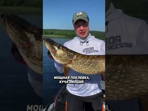 Старт кубка гидов и рыбаков! Призовой фонд более 4 млн рублей. Подробности на rybalkasgidom.ru Старт кубка гидов и рыбаков! Призовой фонд более 4 млн рублей. Подробности на rybalkasgidom.ru