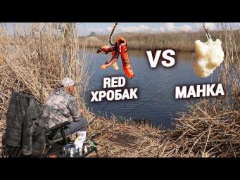 Ловлю ДИКИХ КАРАСІВ на МАНКУ та ХРОБАКА