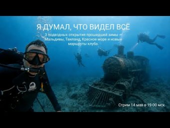 Я думал, что видел всё... Тигровые акулы, декомпрессия, рэки и жизнь в Таиланде