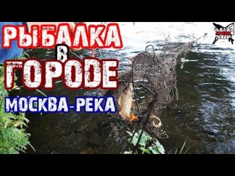 СЕТЬ на Москва-реке в центре города! Ловля окуня на спиннинг. Летняя рыбалка в городе