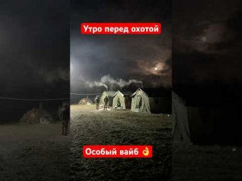 Выход на утрянку. Утро на охоте  #охота #охотанагуся #охотавроссии
