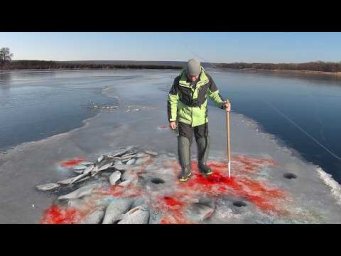 ВЕСЬ ЛЁД в КРОВИ... БРАКОНЬЕРЫ СТАВЯТ СЕТИ!!! РЫБАЛКА на ЖЕРЛИЦЫ и ЩУКА на ЖИВЦА ЗИМОЙ