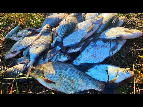 рыбалка с ночевкой на две ночи рыбалка с ночевкой на две ночи