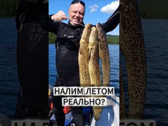Лето. Тува. Налимы. Это вообще законно?! 