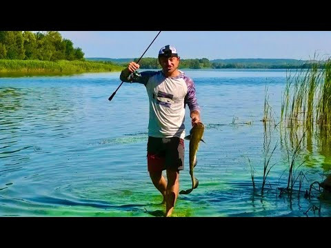 Жара +40 КЛЮЄ ПОТУЖНЯ РИБА!!! Ловимо і готуємо!