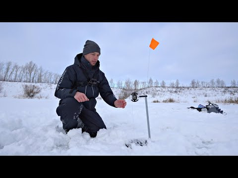 ЩУКИ ОБЕЗУМЕЛИ И ПОДНИМАЮТ ФЛАГИ ОДИН ЗА ДРУГИМ! Зимняя рыбалка на жерлицы и мормышку 2026. ЩУКИ ОБЕЗУМЕЛИ И ПОДНИМАЮТ ФЛАГИ ОДИН ЗА ДРУГИМ! Зимняя рыбалка на жерлицы и мормышку 2026.