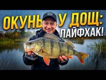 ЯК НАЛОВИТИ БАГАТО ОКУНЯ?! 