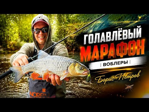 Топ убойных воблеров для малых рек! Голавль на каждой проводке!