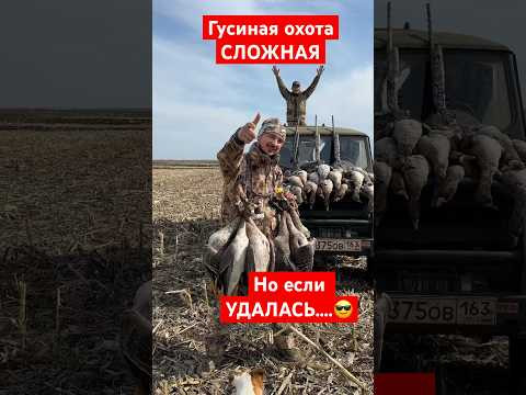 Когда Гусиная охота-удачная!! #охота #охотник #охотанагуся #goosehuntimg #гуси