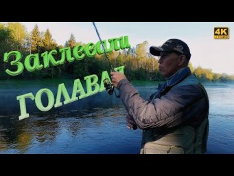 Заклевали ГОЛАВЛИ. Всё на Jackall Micro Tappy 54F