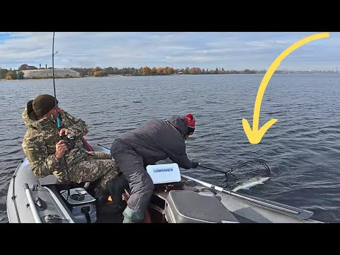 !! СУДАКИ 5 + !! Вони не лізуть в Підсак / Рибалка ВІДПАД