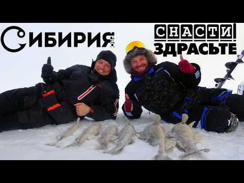 ВЫРЫВАЕТ ИЗ РУК СНАСТИ ЗДРАСЬТЕ! ЭТО ОНИ ЗАПОМНЯТ НА ДОЛГО! Рыбалка в Камском устье на судака ВЫРЫВАЕТ ИЗ РУК СНАСТИ ЗДРАСЬТЕ! ЭТО ОНИ ЗАПОМНЯТ НА ДОЛГО! Рыбалка в Камском устье на судака