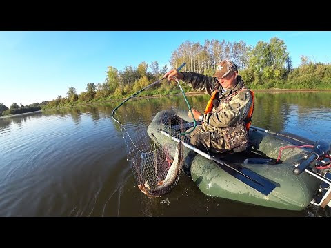 Как ОДНОМУ на реке ПОСТАВИТЬ ПЕРЕМЁТ! Рыбалка на Перемет! #рыбалка #РакиFISHINGPRO Как ОДНОМУ на реке ПОСТАВИТЬ ПЕРЕМЁТ! Рыбалка на Перемет! #рыбалка #РакиFISHINGPRO