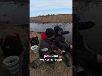 День 22✅ Весенний карась на новые #MAXALKA