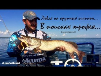 Вот это рыбалка! Ловля крупного судака и щуки на большие приманки.  Джиг летом на Волге. июль 2017.
