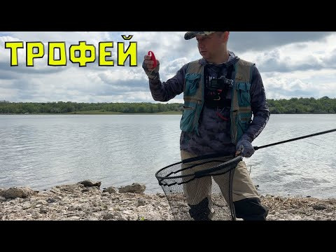 Просто шок! Скільки тут риби! НЕ ЛІЗЕ У ПІДСАК. на риболовлю в травні 2025 Просто шок! Скільки тут риби! НЕ ЛІЗЕ У ПІДСАК. на риболовлю в травні 2025