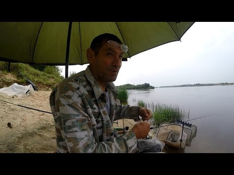 Дождь. Бель молчит. Успешный выход со спиннингом.