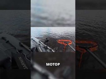 ЭТОТ МОНСТР 5,3 КГ! #рыбалка #щука #трофей