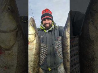Мега Ладони на топ приманки це Ужас #рибалка #fishing #спінінг