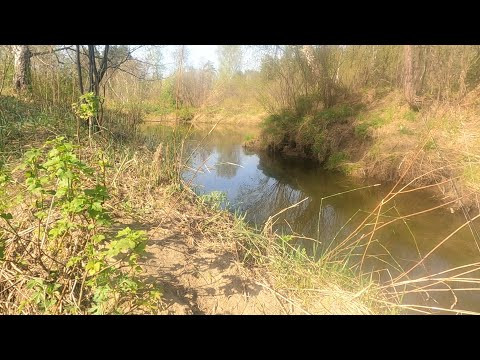 Лесная микро речка где ловятся щуки!!! Рыбалка в мае на спиннинг