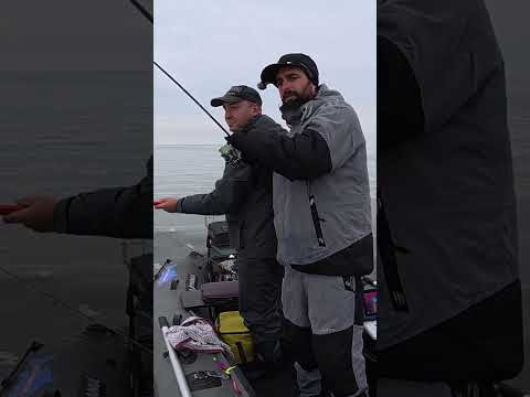 Техніка проводки ПОРОЛОНКИ #рибалка #fishing #shorts Техніка проводки ПОРОЛОНКИ #рибалка #fishing #shorts