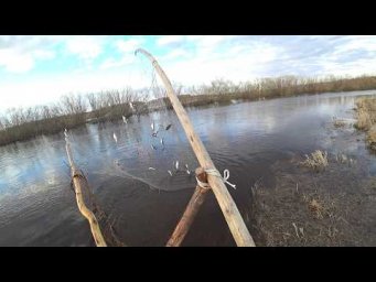 Рыбалка на Грыжу- Кривду. Старая дедовская снасть.
