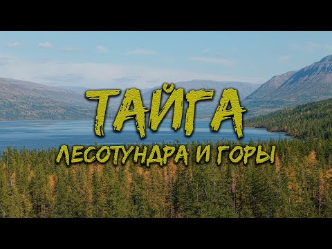 СЕВЕР РОССИИ. ЭКСПЕДИЦИЯ НА ОДНО ИЗ САМЫХ НЕДОСТУПНЫХ И ГЛУБОКИХ ОЗЕР. РЫБАЛКА НА ПЛАТО ПУТОРАНА Ч.1