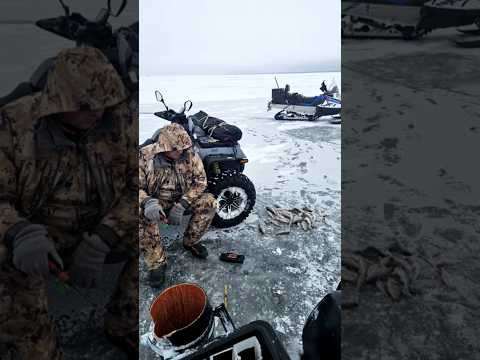 Первая лунка. Первый окунь. #рыбалканаозере #рыбалка #снегоход #icefishing Первая лунка. Первый окунь. #рыбалканаозере #рыбалка #снегоход #icefishing