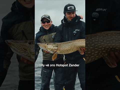 Когда рыбалка пошла не по плану #hotspotzander