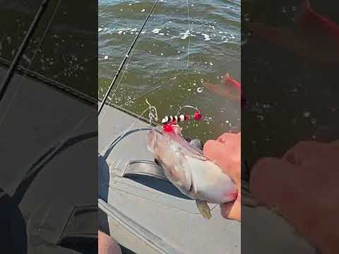 Мандулу люблю та поважаю #fishing #рибалка #спінінг Мандулу люблю та поважаю #fishing #рибалка #спінінг