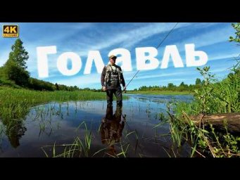 Май - время ловли голавля | Где его искать в этом году?