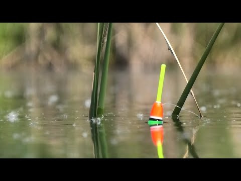 Оце так ЛАПТІ! Дике ОЗЕРО РОЗДАЄ ВЕЛИТНІВ! Оце так ЛАПТІ! Дике ОЗЕРО РОЗДАЄ ВЕЛИТНІВ!