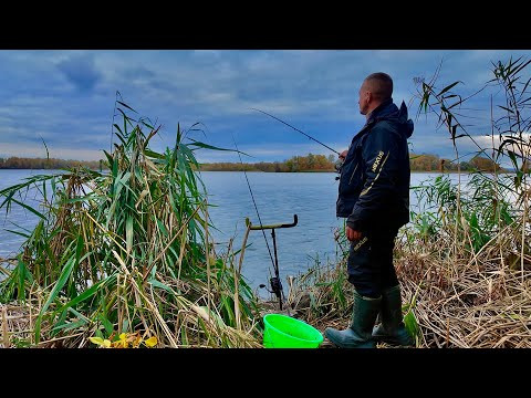Рибалка на Пікерні вудлища в районі Кременчука!!!