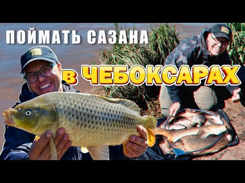 Поймать сазана в Чебоксарах.