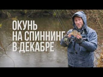 Как уговорить пассивного окуня в декабре? Поиск, ошибки и рабочие приманки. Спиннинг на реке зимой