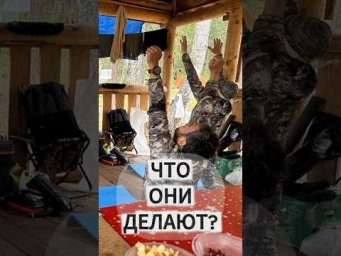 Странные звуки в тайге 