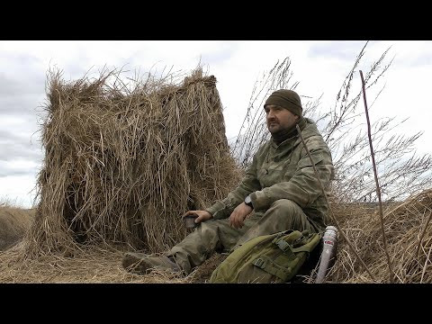 Охота на гуся | Пробы пера | Весна 2024 Охота на гуся | Пробы пера | Весна 2024