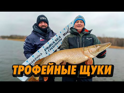 ТРОФЕЙНЫЕ ЩУКИ КУБКА ГИДОВ И РЫБАКОВ. В. ПУТИН ПОЙМАЛ ЗАМЕТРОВУЮ ЩУКУ.