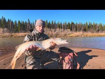 ЛОВЛЯ ТРОФЕЙНЫХ ЩУК ОСЕНЬЮ. ЩУКИ ТАК И ТЯНУТ В ВОДУ. МОРОЗНОЕ УТРО ПО ПУТИ ОХОЧУСЬ.