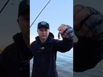 #fishing #спінінг