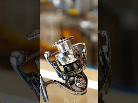 Скільки коштує ні в чому собі не відмовляти к Bereg #bereg #fishing #beregfishing #angler #daiwa Скільки коштує ні в чому собі не відмовляти к Bereg #bereg #fishing #beregfishing #angler #daiwa